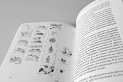 Libro-Diseño-Visual-y-Conocimiento-Cientifico-Maria-Laura-Silvia-Fernandez-Nodal-19