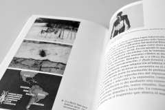 Libro-Diseño-Visual-y-Conocimiento-Cientifico-Maria-Laura-Silvia-Fernandez-Nodal-20